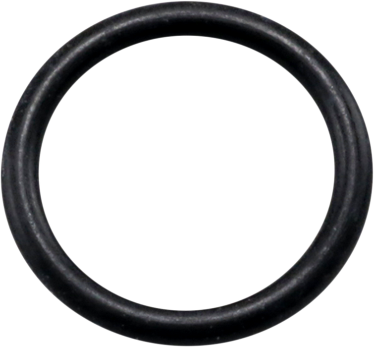 JAMES GASKET Drain Plug O-Ring - 10 Pack - Street XG '15-'20 - ST-11900045-10