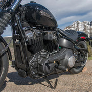 ARLEN NESS AIRTRAX FOOTPEGS, BRASS - 18-SOFTAIL PASSENGER - 07-968 - PartsOutlet.com.au