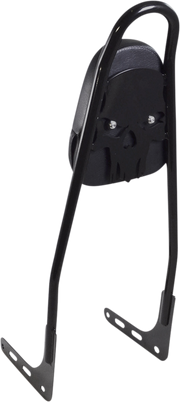 MOTHERWELL One-Piece Sissy Bar - Gloss Black - Skull - With Pad 156T18-GB-SK-WP