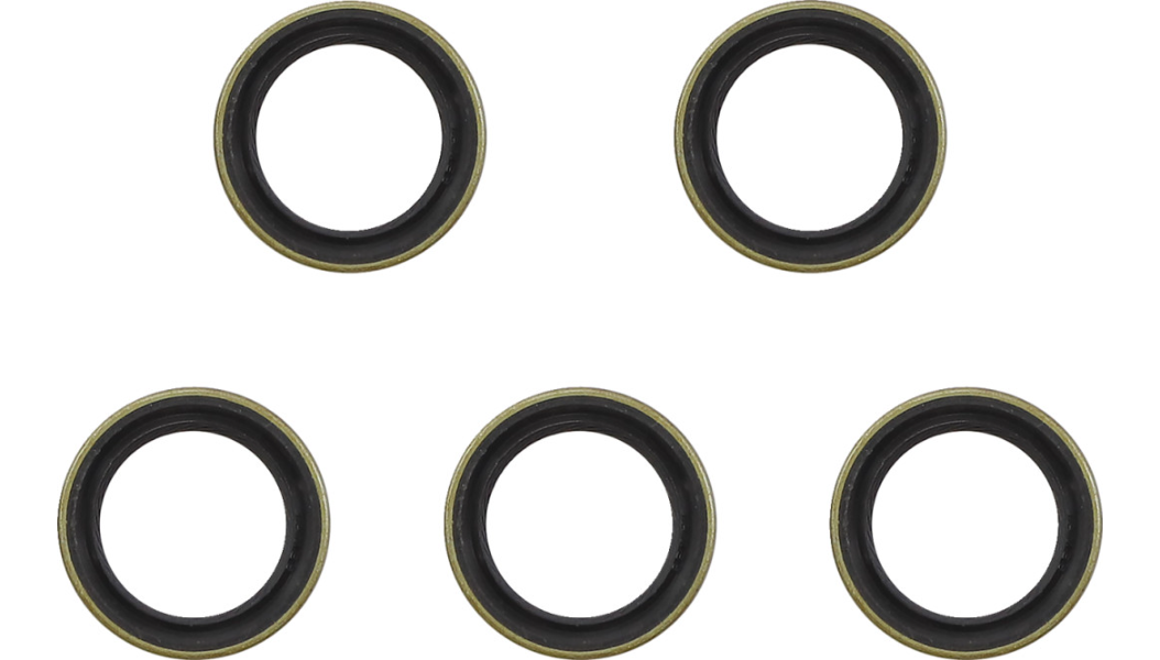 JAMES GASKET Drive Gear Seal - 5 Pack - Big Twin '06-'17 - JGI-12077