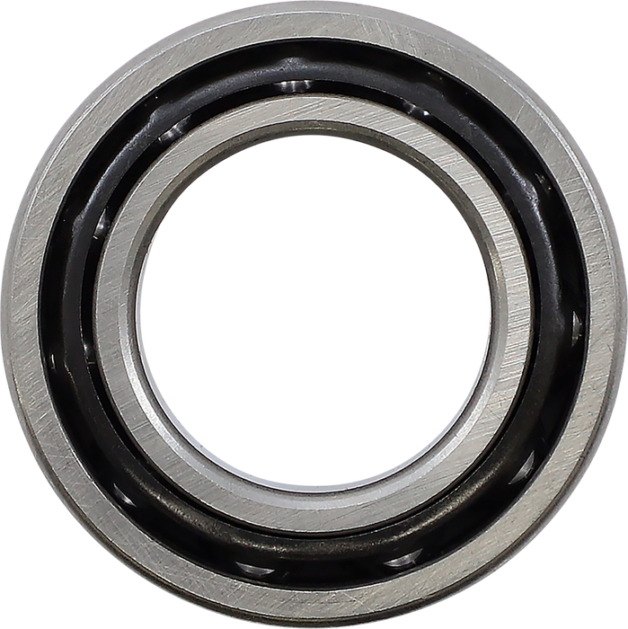 EASTERN MOTORCYCLE PARTS Replacement Bearing - Harley-Davidson '17-'21 - V-13-253