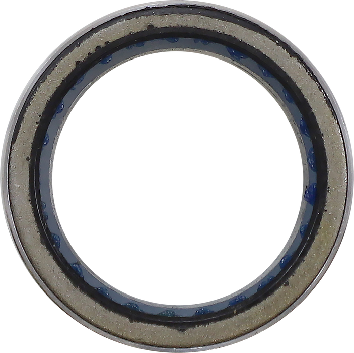 MOOSE UTILITY Clutch Bearing - Polaris '10-'22 - 100-4202-PU