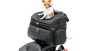 SADDLEMEN Pet Voyager EX000627 - PartsOutlet.com.au