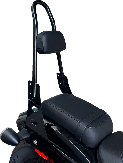 MOTHERWELL One-Piece Sissy Bar - Gloss Black MWL-220-GB.