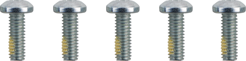 DRAG SPECIALTIES Hardware Kit - Brake Rotor - Torx - without Nuts - 5/16"-18 - O39-0401