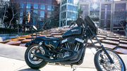 BURLY BRAND Stupid Tall Sissy Bar - '94-'03 XL - B13-1508B - PartsOutlet.com.au