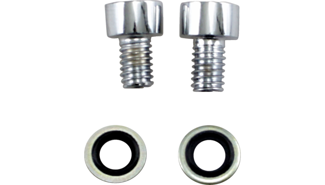 JAMES GASKET Fork Drain Bolt - Kit - FXD '94-'05 - JGI-45790-80-CS