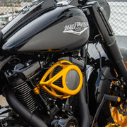 ARLEN NESS CLEAR TEAR AIR CLEANER, GOLD - 17-up M8 MODELS - 18-974 - PartsOutlet.com.au