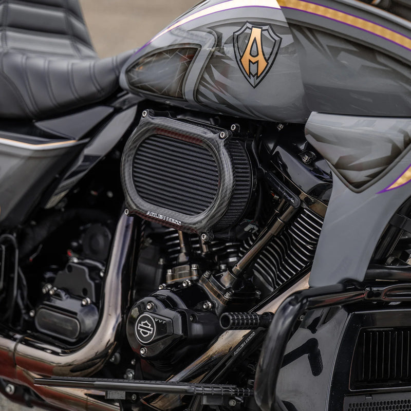 ARLEN NESS Stage 2 Oval Air Cleaner Kit - Carbon Fiber - FL '08-'16 - 600-218