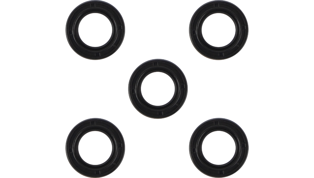 JAMES GASKET Starter Shaft Oil Seal - 5 Pack - Big Twin '80-'86 - JGI-31341-80DL