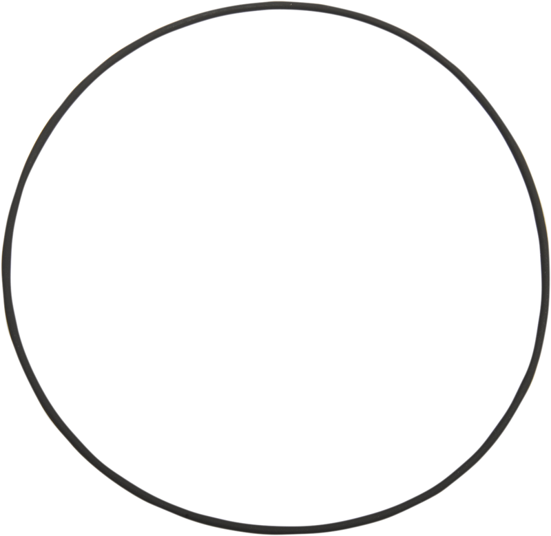 JIMS Cam Cover Large O-Ring 2171
