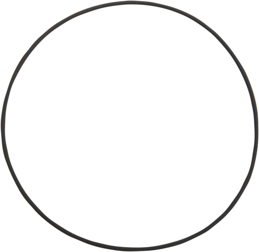 JIMS Cam Cover Large O-Ring 2171