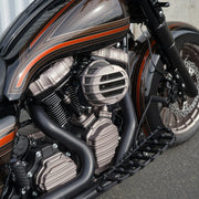 ARLEN NESS 10-GAUGE® TWIN CAM CAM COVER, TITANIUM - 03-976 - PartsOutlet.com.au