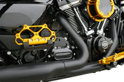 ARLEN NESS Diamond Floorboards - Passenger - Gold 410-061