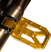 THRASHIN SUPPLY CO. Aggressor Footpegs - Rear - Gold TSC-2022-5-D