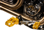 THRASHIN SUPPLY CO. Aggressor Footpegs - Rear - Gold TSC-2022-5-D