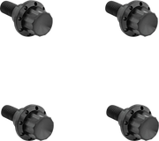 ARLEN NESS Bolt Kit - Windshield - 12-Point - Titanium - Black 300-810