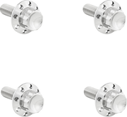 ARLEN NESS Bolt Kit - Windshield - Titanium - 12-Point - Polished 300-815