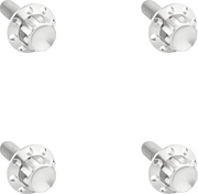 ARLEN NESS Bolt Kit - Windshield - Titanium - 12-Point - Polished 300-839