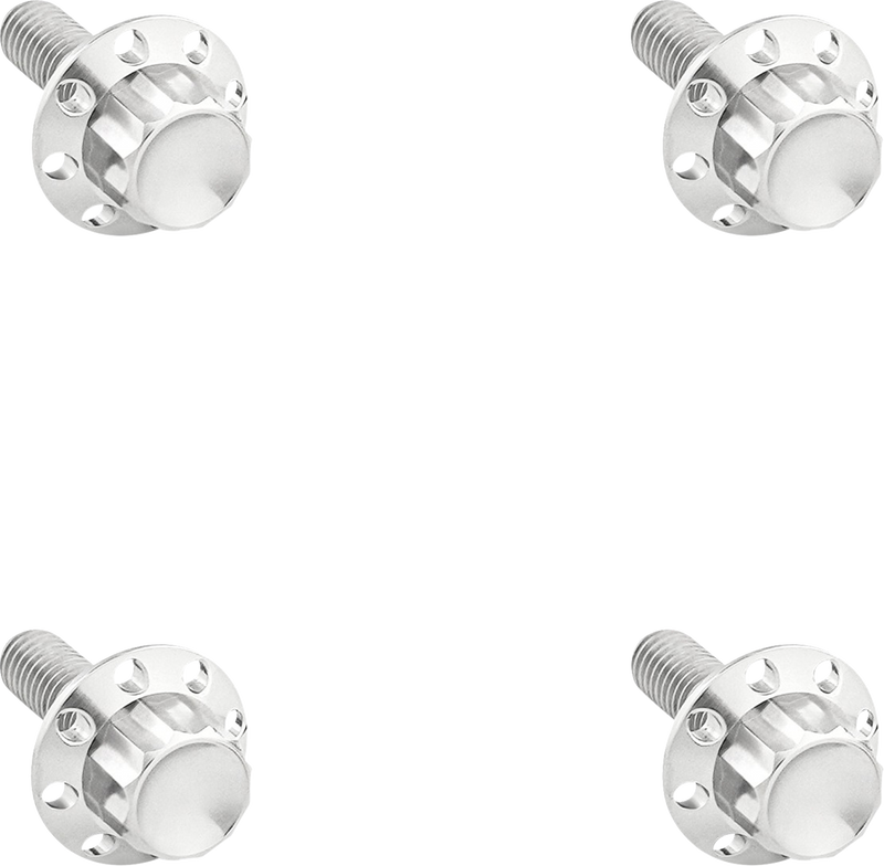 ARLEN NESS Bolt Kit - Windshield - Titanium - 12-Point - Polished 300-839