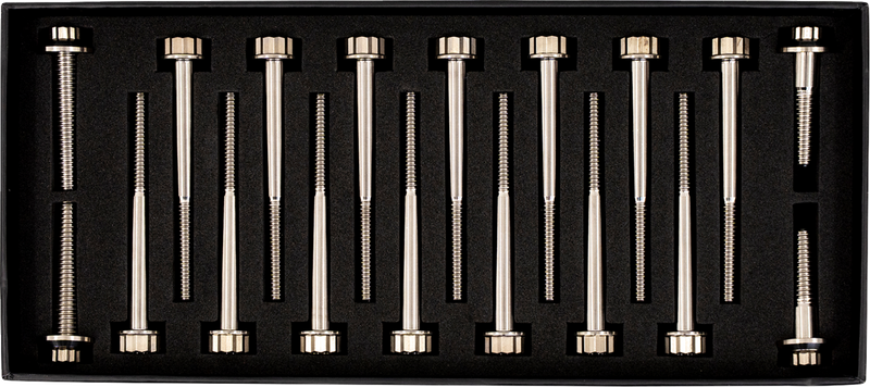 TRASK Bitchin' Bolts Hardware Kit - Titanium - M8 - Crankcase TM-1050-H