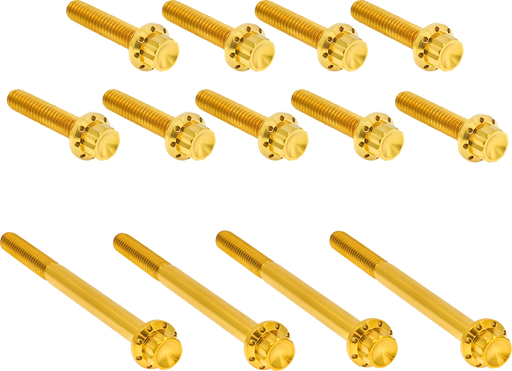 ARLEN NESS Bolt Kit - Primary Cover - Titanium - 12-Point - Twin Cam - Gold 300-991