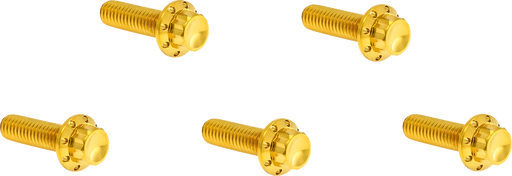 ARLEN NESS Bolt Kit - Derby Cover - 12-Point - Titanium - Gold 300-925