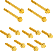 ARLEN NESS Bolt Kit - Primary Cover - Titanium - 12-Point - FLT - Gold 300-928