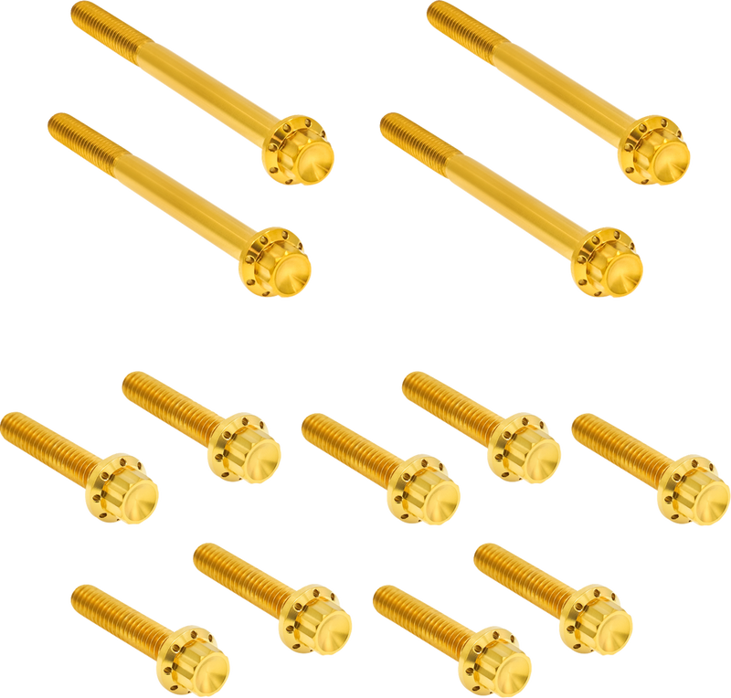 ARLEN NESS Bolt Kit - Primary Cover - Titanium - 12-Point - FLT - Gold 300-928