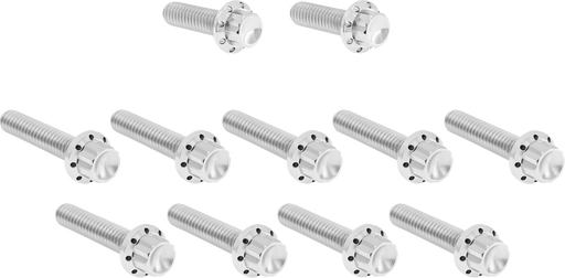 ARLEN NESS Bolt Kit - Cam Cover/Point Cover - Titanium - 12-Point - Polished 300-980