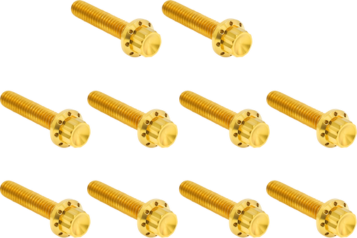 ARLEN NESS Bolt Kit - Cam Cover/Point Cover - Titanium - 12-Point - Gold 300-988