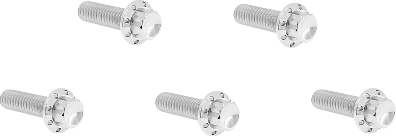 ARLEN NESS Bolt Kit - Derby Cover - 12-Point - Titanium - Polished 300-938