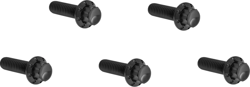 ARLEN NESS Bolt Kit - Derby Cover - 12-Point - Titanium - Black 300-939