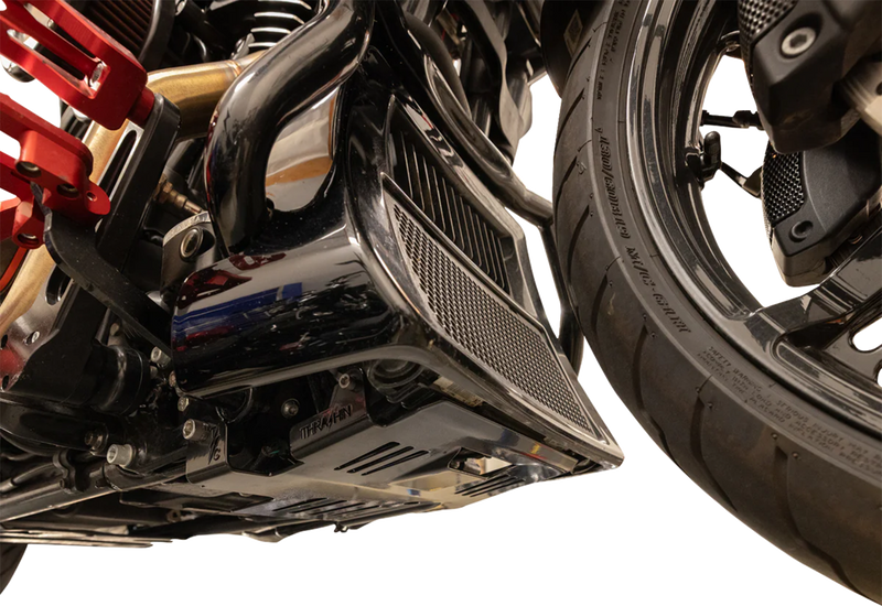 THRASHIN SUPPLY CO. Skid Plate - Black - HD Touring TSC-3037-1