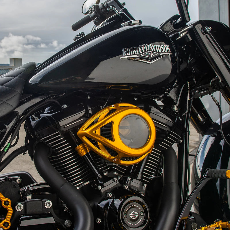 ARLEN NESS CLEAR TEAR AIR CLEANER, GOLD - 17-up M8 MODELS - 18-974 - PartsOutlet.com.au