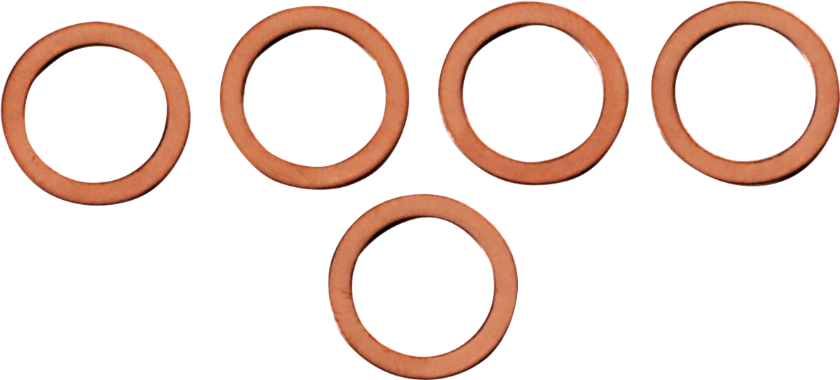 JAMES GASKET Fork Leg Washers - 6 Pack '06-'20 - JGI-46615-06