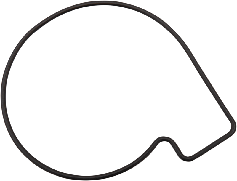 JAMES GASKET Water Pump Body Seal - Harley Davidson '15-'20 - JGI-ST-26600017