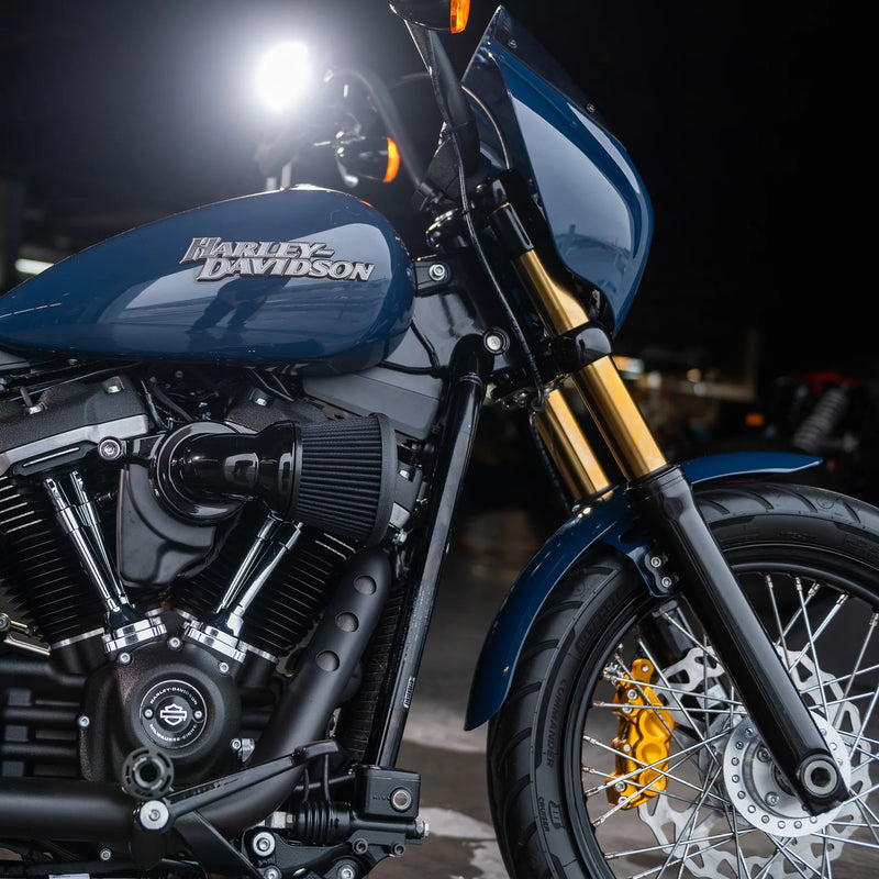 ARLEN NESS GOLD & BLACK 49MM FORK TUBES, M8 SOFTAIL - GOLD - FACTORY - 121-004 - PartsOutlet.com.au