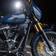 ARLEN NESS GOLD & BLACK 49MM FORK TUBES, M8 SOFTAIL - BLACK - 121-005 - PartsOutlet.com.au