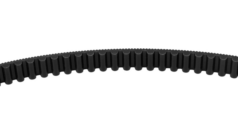 S&S CYCLE Drive Belt - 134 Tooth - 24 mm - M8 Softail '18-'22 - 560-0397