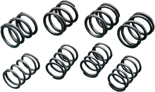 ANDREWS High-Lift Valve Springs 272110