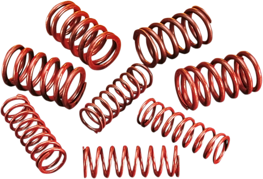 ANDREWS High-Lift Springs 294150