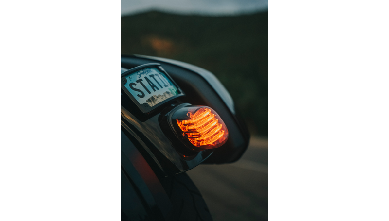 CUSTOM DYNAMICS Taillight - without License Plate Illumination Window - Smoke - Harley-Davidson '99-'24 - PB-TL-LP-S