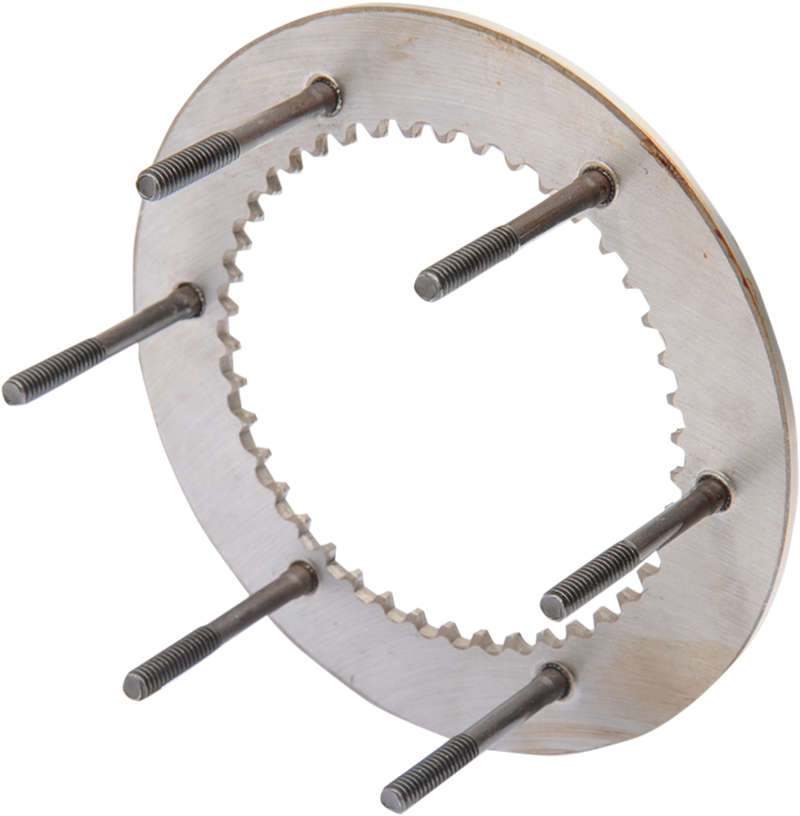 EASTERN MOTORCYCLE PARTS Backing Plate - XL '71-'84 - 38005-74