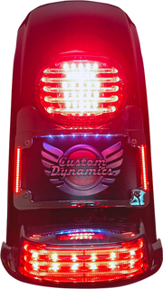 CUSTOM DYNAMICS License Plate Frame/Turn Signal Eliminator - Black TS-ELIM-06BCM-B