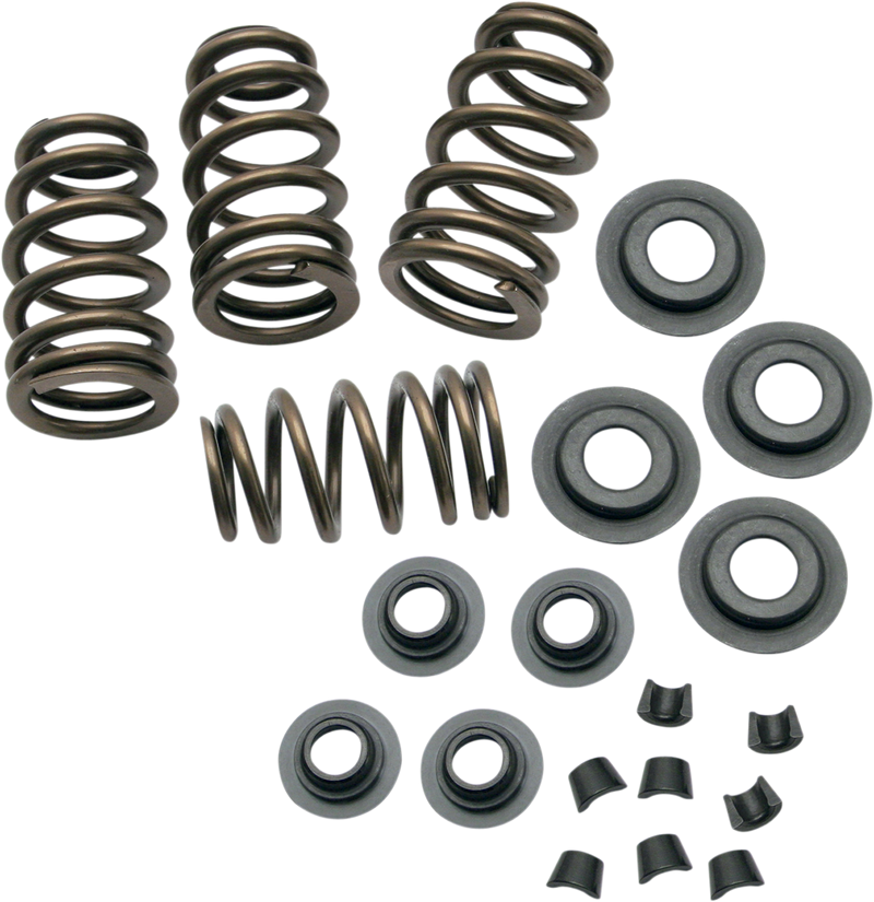 S&S CYCLE .650" Lift Sidewinder® Valve Spring Kit for '84-'04 Big Twins and '86-'03 HD® Sportster® Models - .650" 900-0050