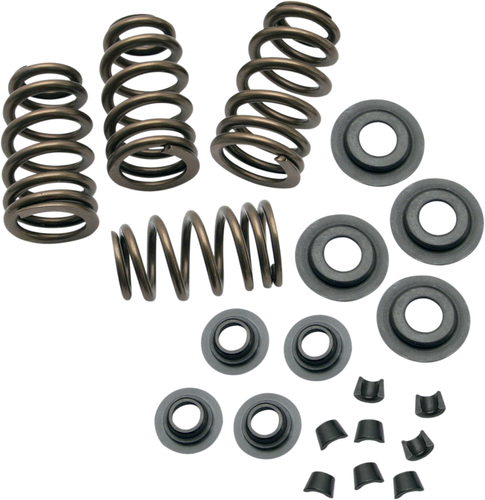 S&S CYCLE .650" Lift Sidewinder® Valve Spring Kit for 1984-2004 Big Twins and 1986-2003 HD® Sportster® Models - .650" 900-0050