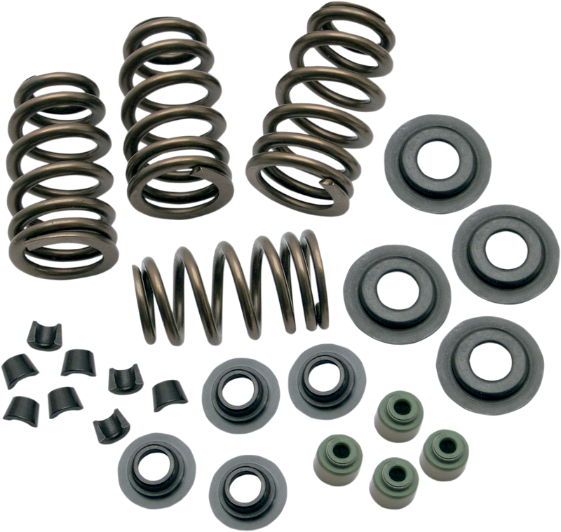 S&S CYCLE Sidewinder® .650" Valve Spring Kit for 2005-'18 Big Twins and 2004-'19 HD® Sportster® Models - 106-5909