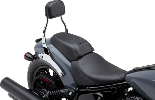 COBRA Detachable Backrest - Mini - Chrome - Indian 2022 Chief 502-2012 - PartsOutlet.com.au