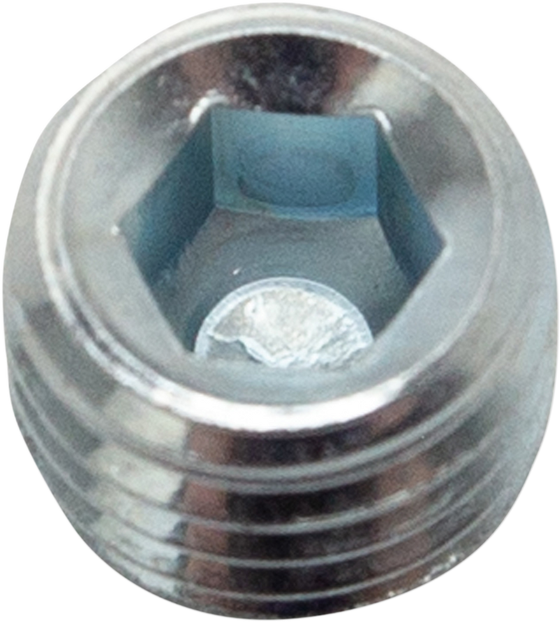 S&S CYCLE 5/16-24 X 1/4" Zinc-Plated Swivel Head ASTM F912-1986 Screw - 50-0105